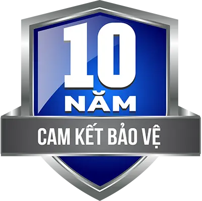 10-nam-BV